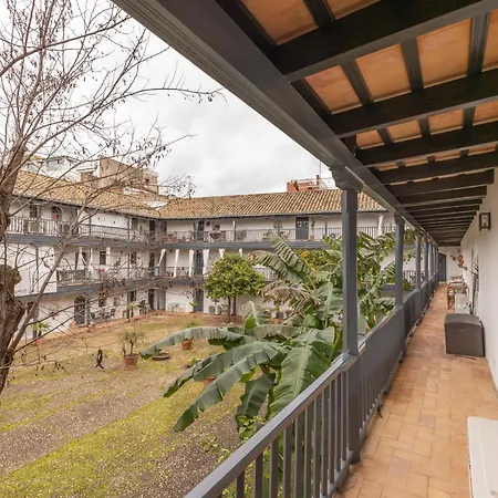 Patio Del Conde *