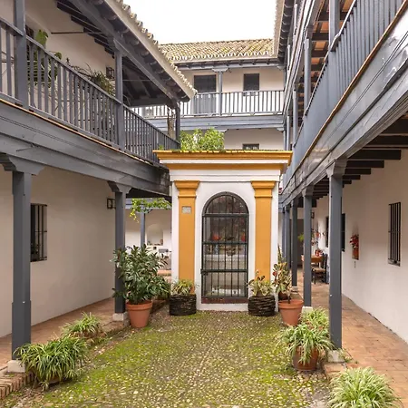 Patio Del Conde