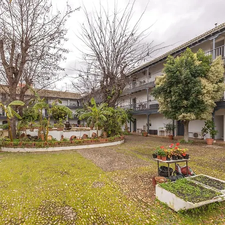 Patio Del Conde * Sevilla